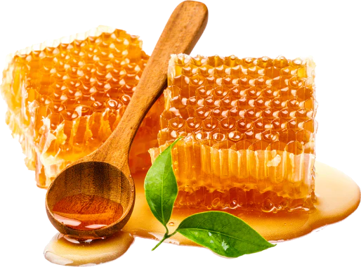 Honey Image